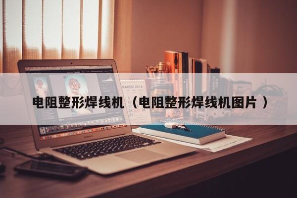 電阻整形焊線機（電阻整形焊線機圖片 ）